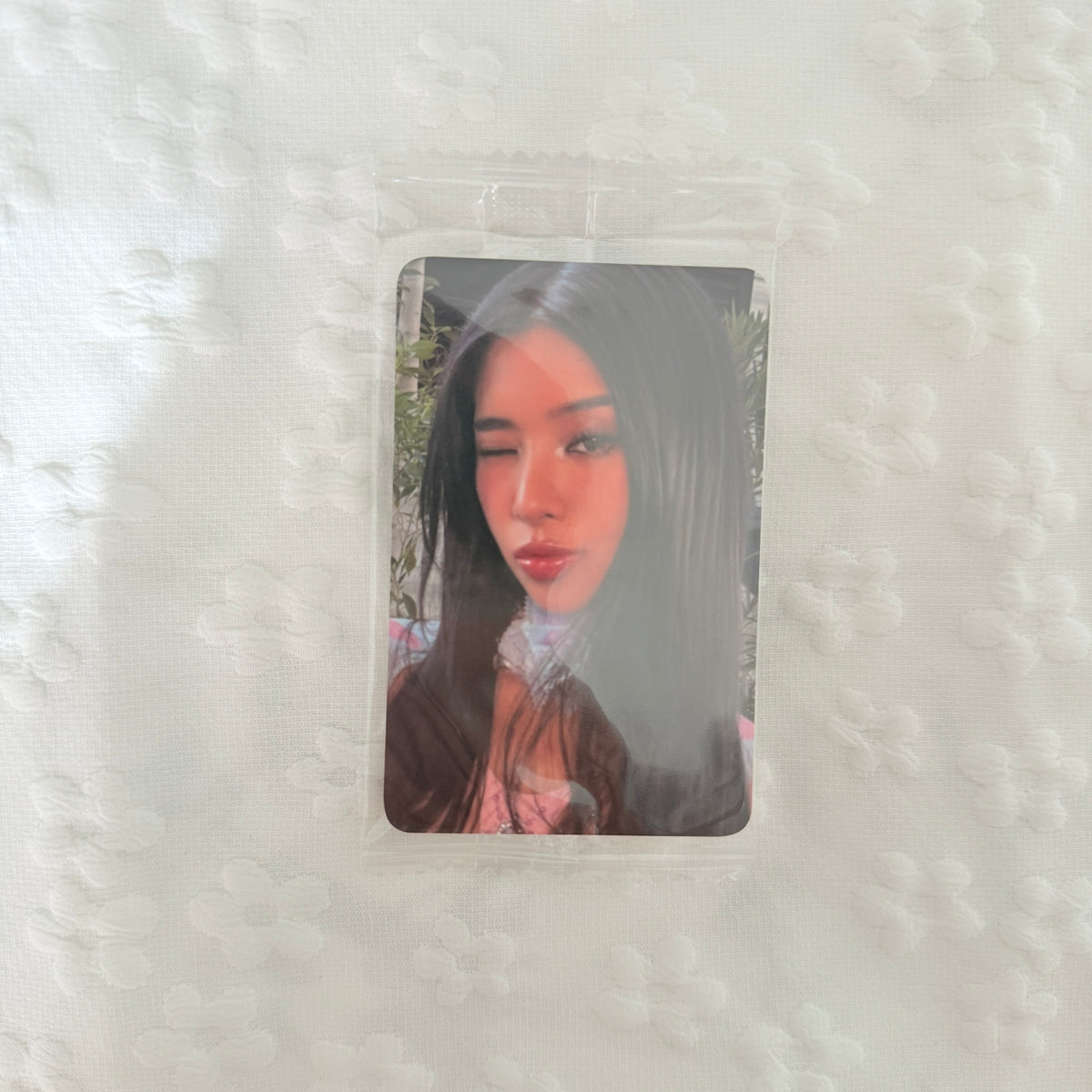 KATSEYE Wild Ktown4u POB Photocard